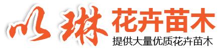 濰坊博韻文化傳媒有限公司